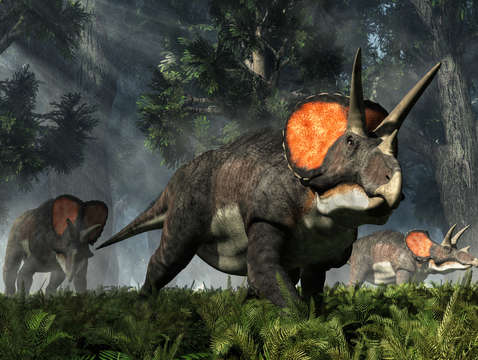 Triceratops in a forest