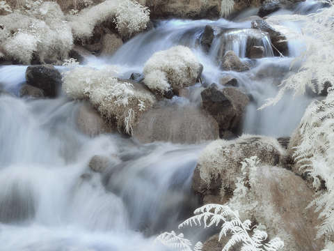 Fairy falls flowing