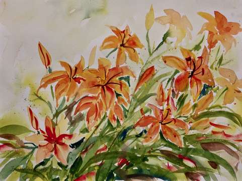 Orange lilies