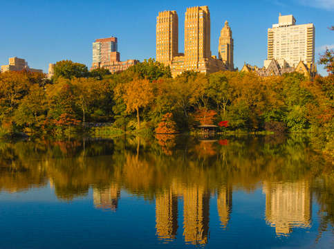 Perfect reflction in central park