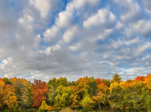 Autumn colors of the farm
