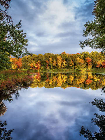 Pond view fall 1