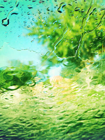 Water tree abstract