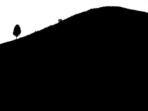 Silhouette 2