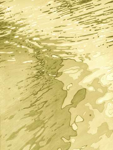 Golden driftwood beach