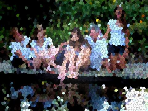 Family reflection