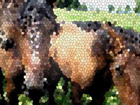 Abstracted horses