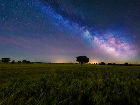Milky way over wheat fields