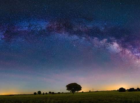 Milky way arch over wheat fields