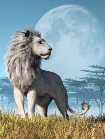 White lion and full moon