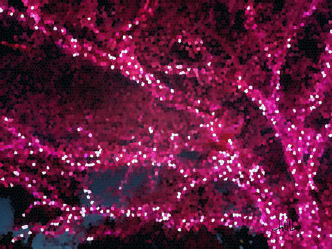 Night glow 1