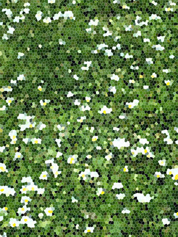Daisies 4