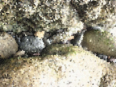 Curved pebbles 2