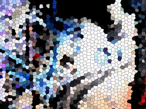 Abstracted colors