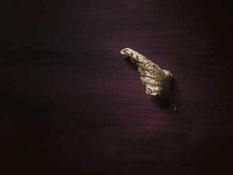 Dry leaf on muted red