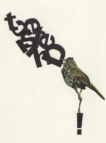 The tweeter