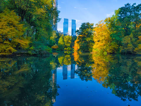 Reflection in central park