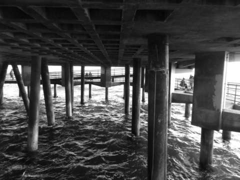 Under the santa monica pier