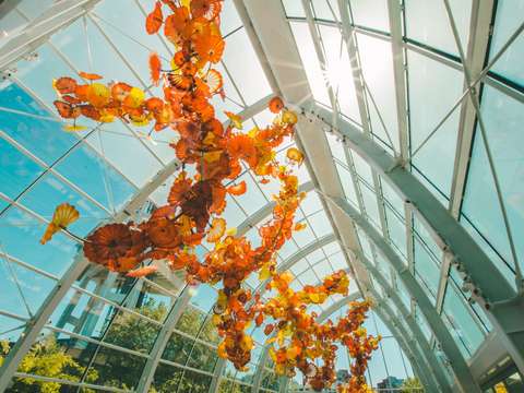 Glass house