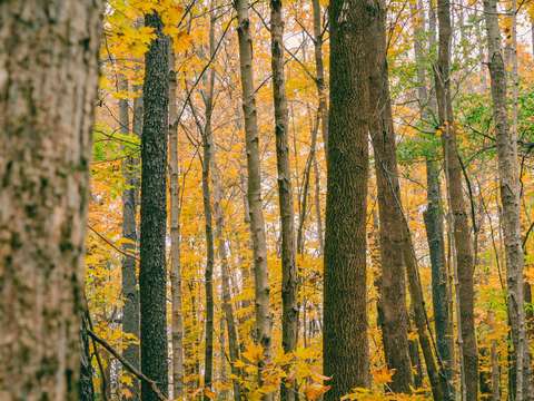 Autumnal adventures