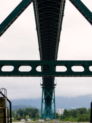 Bridge the gap