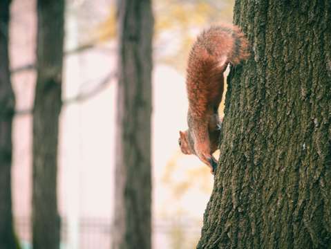 On the hunt