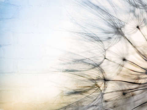 Untitled 259