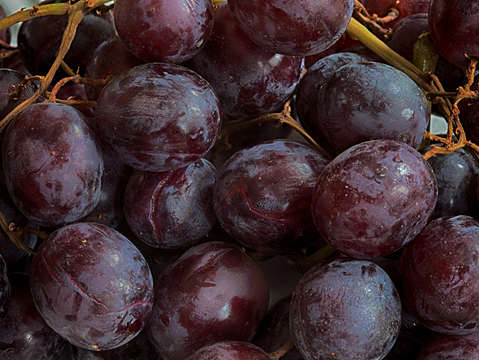 Grapes 3