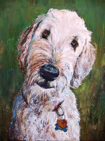 Goldendoodle