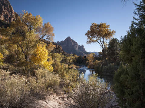 The watchman 3