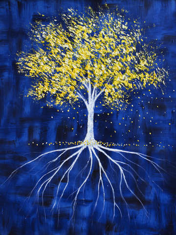 Inspiration 4