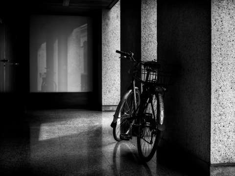 The Missing