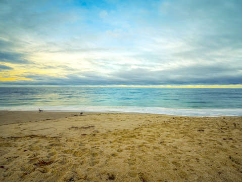 November marine st beach