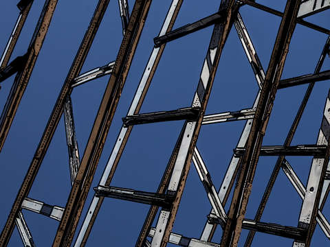 Bones of a wing abstract