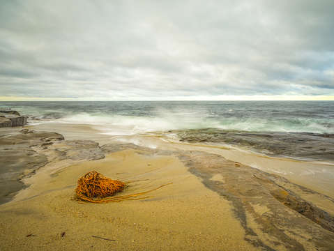 Yearning for the sea