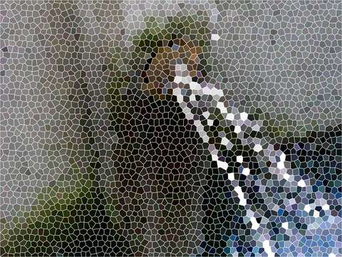 Water fountain