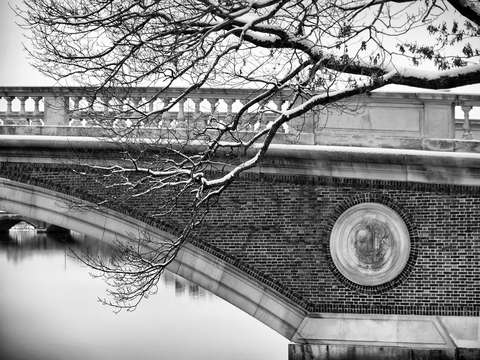 Weeks Footbridge at Harvard, with Snowy Branch
