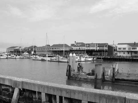 Sf bay and docks