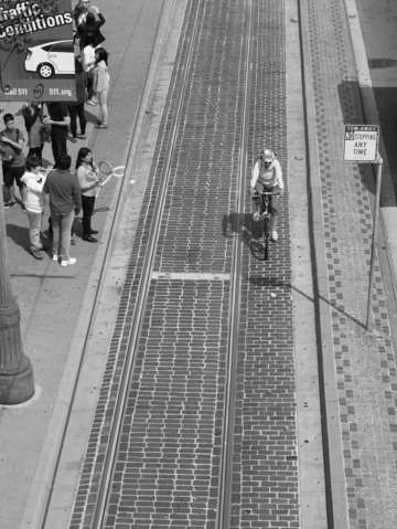 Sf pathway