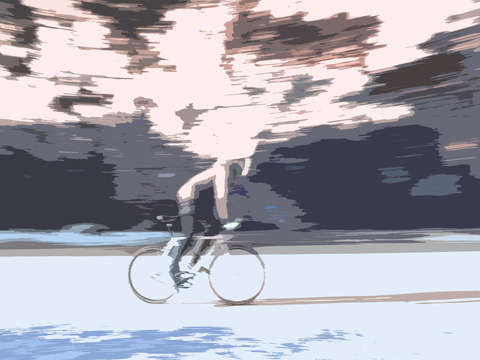 Bike passion 5006