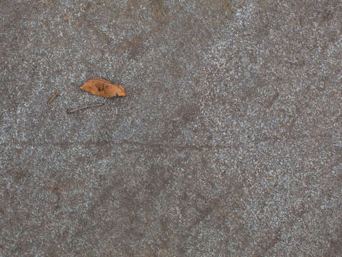 Fallen 2