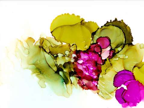 Violets