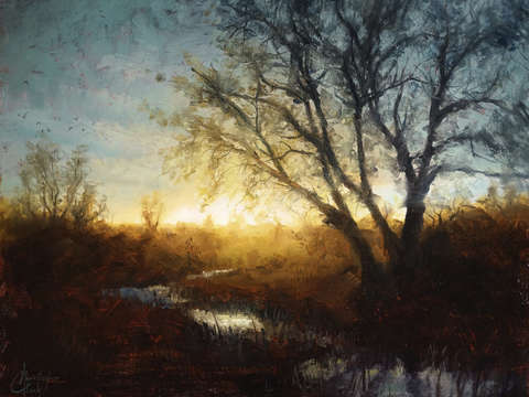 Late autumn light