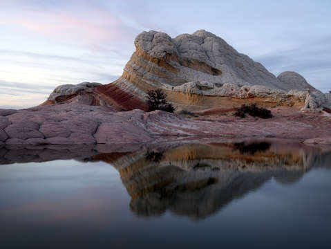 White pocket reflection