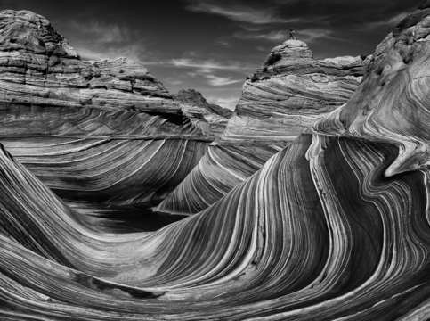 The wave in black white