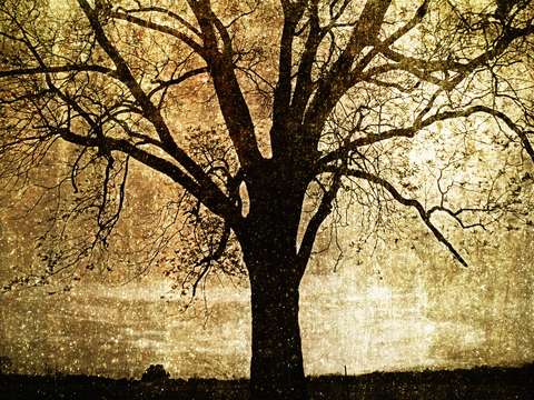 Lonesome_2