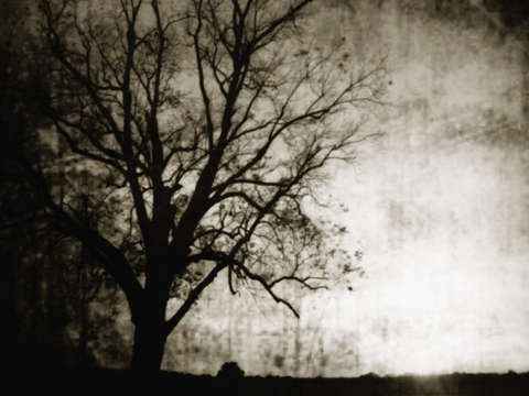 Lonesome