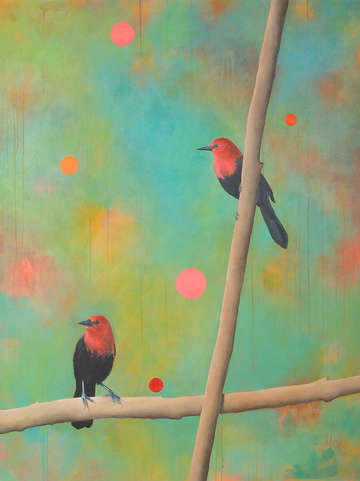 Two scarlet headed blackbirds 2