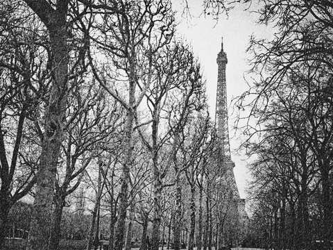 Winter in Paris