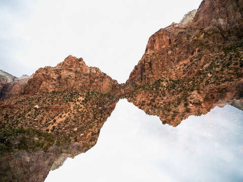 Zion 14